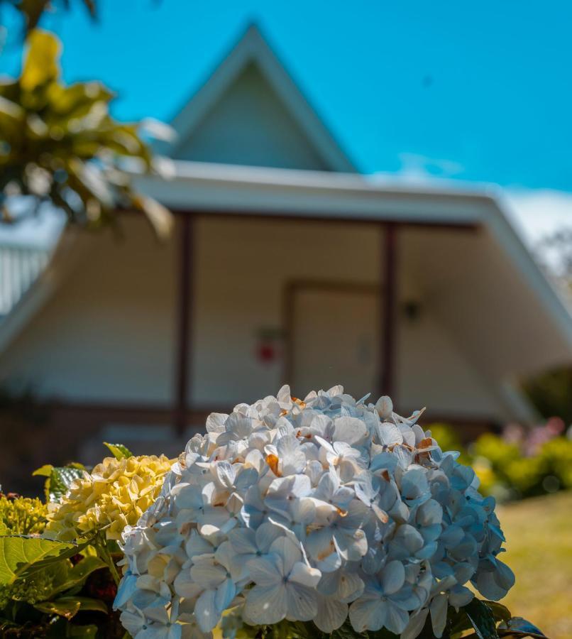 Hortensias Chalets Vara Blanca Heredia Extérieur photo